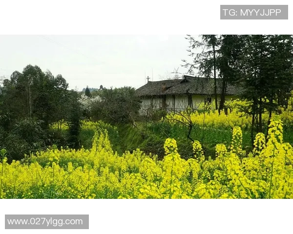 在GTA世界中与足球明星共舞的奇幻冒险之旅