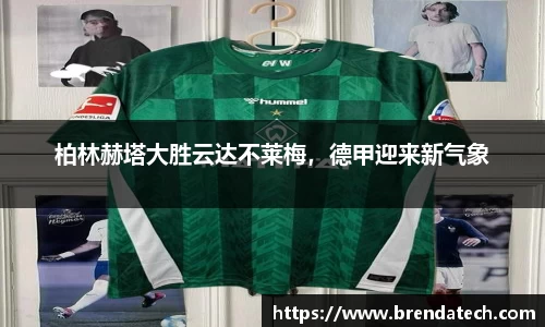 NG娱乐