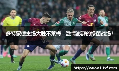 NG娱乐