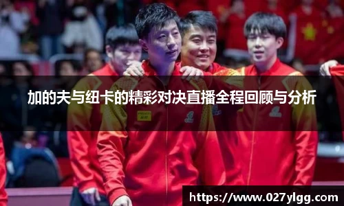 NG娱乐