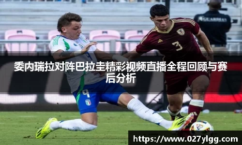 NG娱乐