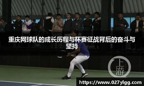 NG娱乐