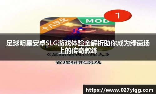 NG娱乐