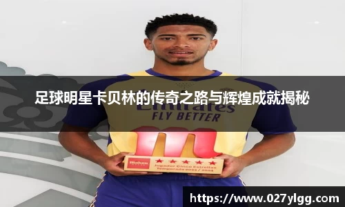 NG娱乐